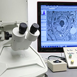 electron microscope