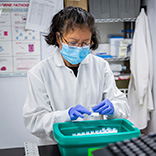 research technician processing cells